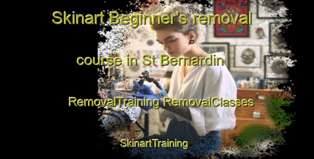 Skinart Beginner's removal course in St Bernardin | #RemovalTraining #RemovalClasses #SkinartTraining-Canada