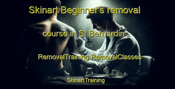 Skinart Beginner's removal course in St Bernardin | #RemovalTraining #RemovalClasses #SkinartTraining-Canada