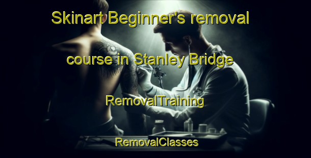 Skinart Beginner's removal course in Stanley Bridge | RemovalTraining | RemovalClasses | SkinartTraining-Canada