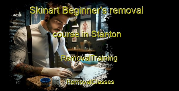 Skinart Beginner's removal course in Stanton | RemovalTraining | RemovalClasses | SkinartTraining-Canada