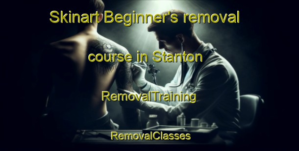 Skinart Beginner's removal course in Stanton | RemovalTraining | RemovalClasses | SkinartTraining-Canada