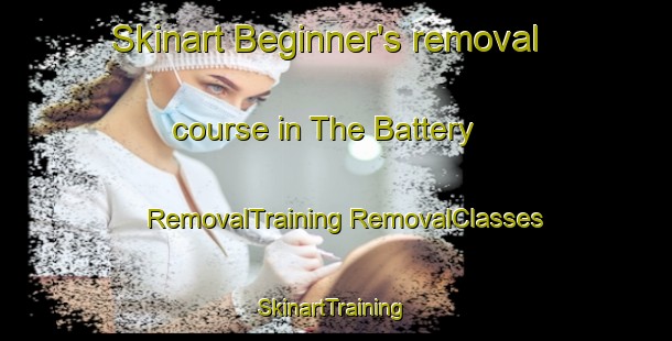 Skinart Beginner's removal course in The Battery | #RemovalTraining #RemovalClasses #SkinartTraining-Canada