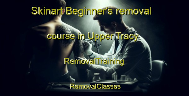 Skinart Beginner's removal course in Upper Tracy | RemovalTraining | RemovalClasses | SkinartTraining-Canada