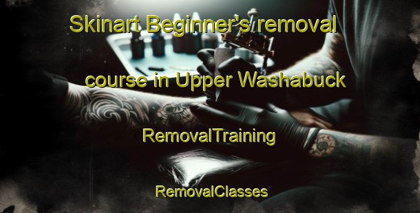 Skinart Beginner's removal course in Upper Washabuck | RemovalTraining | RemovalClasses | SkinartTraining-Canada