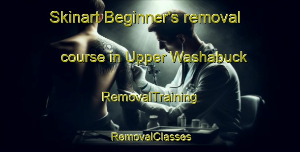 Skinart Beginner's removal course in Upper Washabuck | RemovalTraining | RemovalClasses | SkinartTraining-Canada
