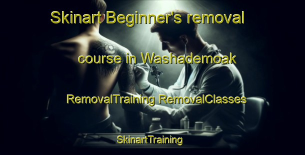 Skinart Beginner's removal course in Washademoak | #RemovalTraining #RemovalClasses #SkinartTraining-Canada