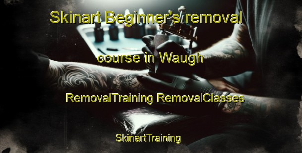 Skinart Beginner's removal course in Waugh | #RemovalTraining #RemovalClasses #SkinartTraining-Canada