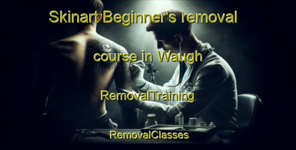 Skinart Beginner's removal course in Waugh | RemovalTraining | RemovalClasses | SkinartTraining-Canada