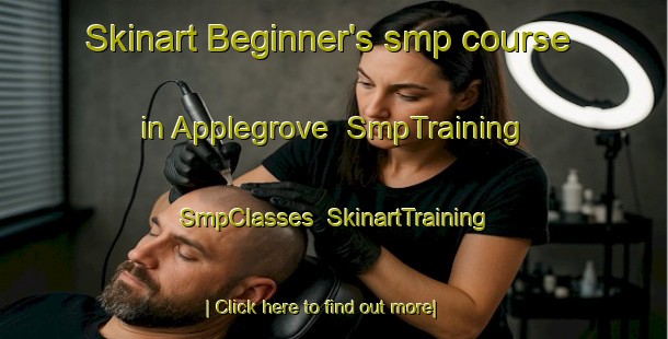 Skinart Beginner's smp course in Applegrove | SmpTraining | SmpClasses | SkinartTraining-Canada