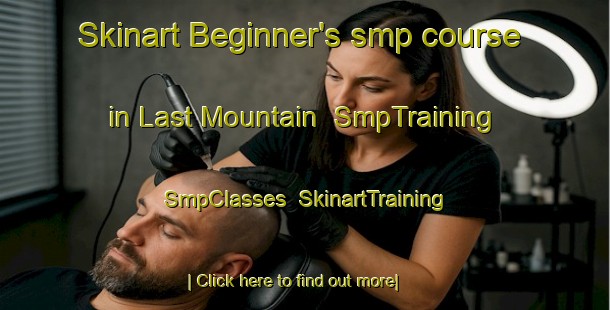 Skinart Beginner's smp course in Last Mountain | SmpTraining | SmpClasses | SkinartTraining-Canada