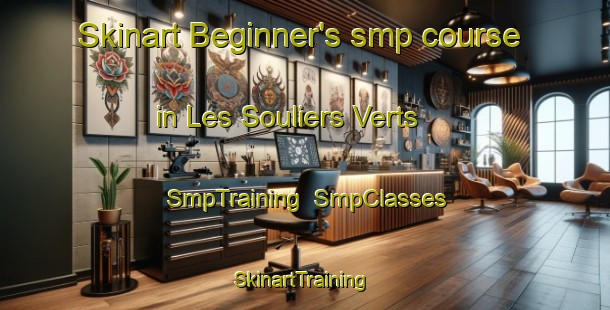 Skinart Beginner's smp course in Les Souliers Verts | SmpTraining | SmpClasses | SkinartTraining-Canada