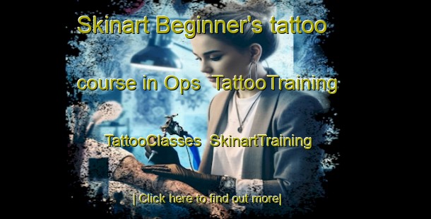 Skinart Beginner's tattoo course in Ops | TattooTraining | TattooClasses | SkinartTraining-Canada