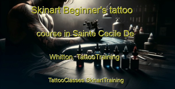 Skinart Beginner's tattoo course in Sainte Cecile De Whitton | #TattooTraining #TattooClasses #SkinartTraining-Canada