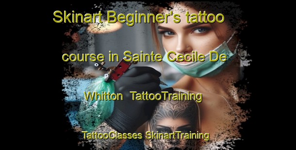 Skinart Beginner's tattoo course in Sainte Cecile De Whitton | #TattooTraining #TattooClasses #SkinartTraining-Canada