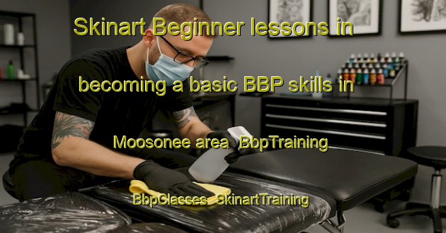 Skinart Beginner lessons in becoming a basic BBP skills in Moosonee area | BbpTraining | BbpClasses | SkinartTraining-Canada