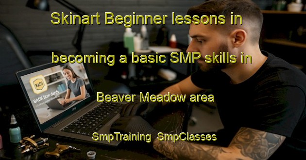 Skinart Beginner lessons in becoming a basic SMP skills in Beaver Meadow area | SmpTraining | SmpClasses | SkinartTraining-Canada