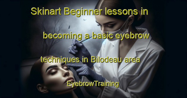 Skinart Beginner lessons in becoming a basic eyebrow techniques in Bilodeau area | EyebrowTraining | EyebrowClasses | SkinartTraining-Canada
