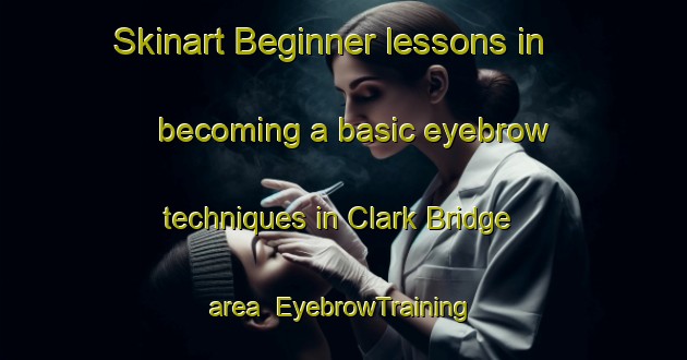 Skinart Beginner lessons in becoming a basic eyebrow techniques in Clark Bridge area | EyebrowTraining | EyebrowClasses | SkinartTraining-Canada