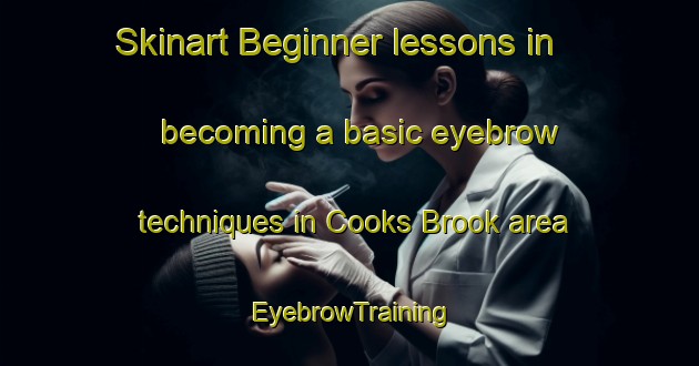 Skinart Beginner lessons in becoming a basic eyebrow techniques in Cooks Brook area | EyebrowTraining | EyebrowClasses | SkinartTraining-Canada