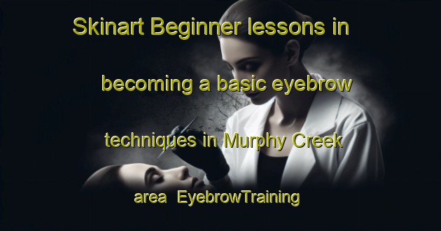 Skinart Beginner lessons in becoming a basic eyebrow techniques in Murphy Creek area | EyebrowTraining | EyebrowClasses | SkinartTraining-Canada