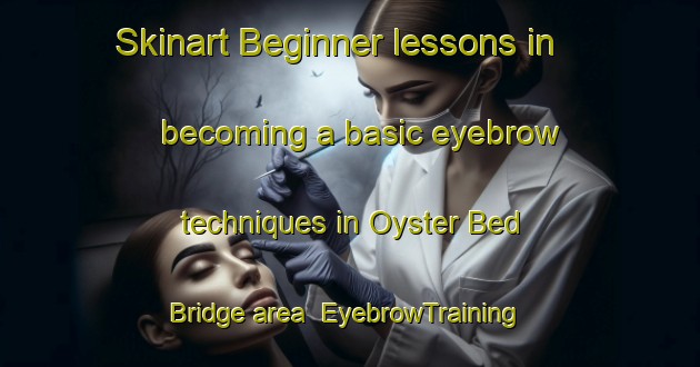 Skinart Beginner lessons in becoming a basic eyebrow techniques in Oyster Bed Bridge area | EyebrowTraining | EyebrowClasses | SkinartTraining-Canada