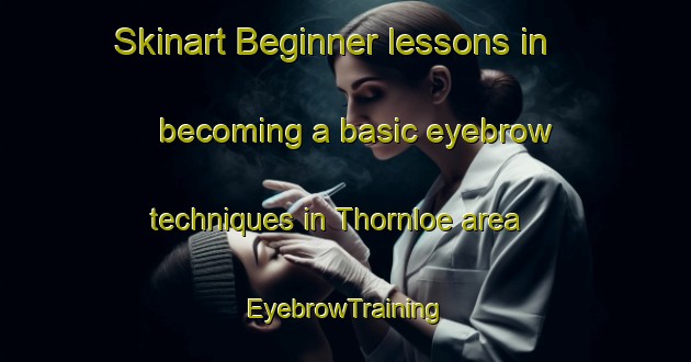Skinart Beginner lessons in becoming a basic eyebrow techniques in Thornloe area | EyebrowTraining | EyebrowClasses | SkinartTraining-Canada
