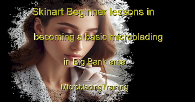 Skinart Beginner lessons in becoming a basic microblading in Big Bank area | MicrobladingTraining | MicrobladingClasses | SkinartTraining-Canada