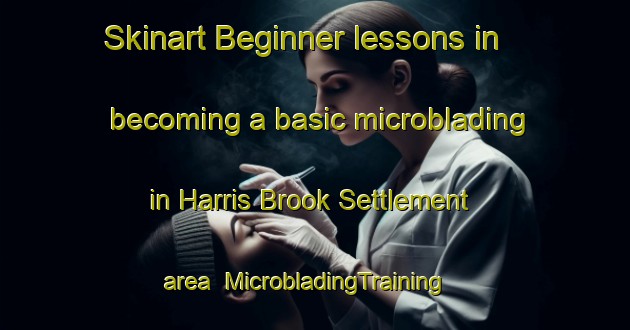 Skinart Beginner lessons in becoming a basic microblading in Harris Brook Settlement area | MicrobladingTraining | MicrobladingClasses | SkinartTraining-Canada