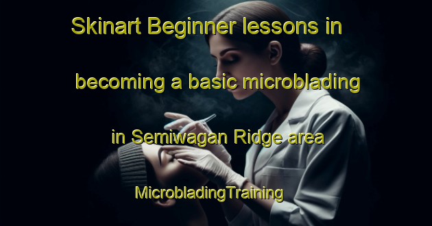 Skinart Beginner lessons in becoming a basic microblading in Semiwagan Ridge area | MicrobladingTraining | MicrobladingClasses | SkinartTraining-Canada