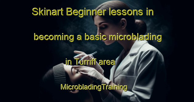 Skinart Beginner lessons in becoming a basic microblading in Turriff area | MicrobladingTraining | MicrobladingClasses | SkinartTraining-Canada