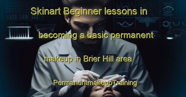 Skinart Beginner lessons in becoming a basic permanent makeup in Brier Hill area | PermanentmakeupTraining | PermanentmakeupClasses | SkinartTraining-Canada