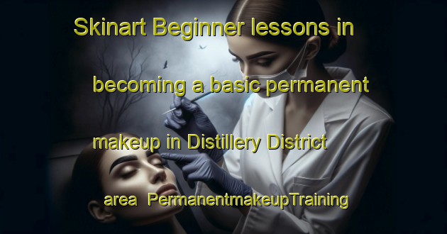 Skinart Beginner lessons in becoming a basic permanent makeup in Distillery District area | PermanentmakeupTraining | PermanentmakeupClasses | SkinartTraining-Canada