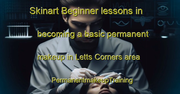 Skinart Beginner lessons in becoming a basic permanent makeup in Letts Corners area | PermanentmakeupTraining | PermanentmakeupClasses | SkinartTraining-Canada