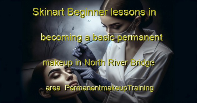 Skinart Beginner lessons in becoming a basic permanent makeup in North River Bridge area | PermanentmakeupTraining | PermanentmakeupClasses | SkinartTraining-Canada