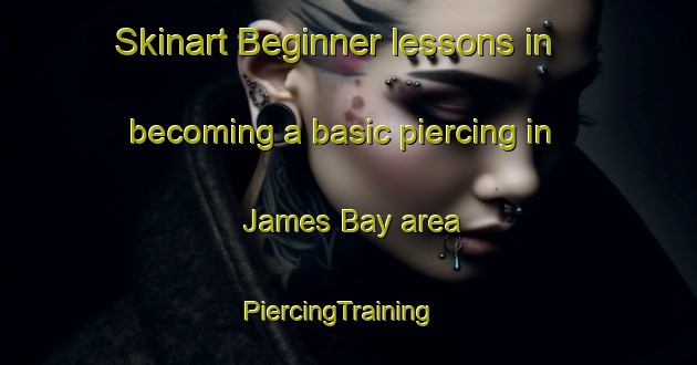 Skinart Beginner lessons in becoming a basic piercing in James Bay area | PiercingTraining | PiercingClasses | SkinartTraining-Canada