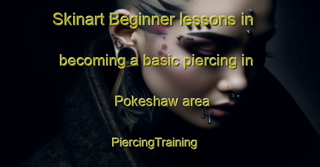 Skinart Beginner lessons in becoming a basic piercing in Pokeshaw area | PiercingTraining | PiercingClasses | SkinartTraining-Canada