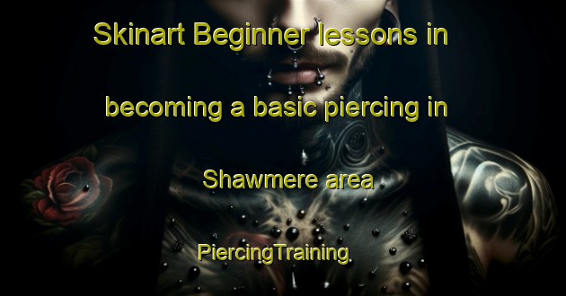 Skinart Beginner lessons in becoming a basic piercing in Shawmere area | PiercingTraining | PiercingClasses | SkinartTraining-Canada
