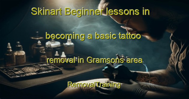 Skinart Beginner lessons in becoming a basic tattoo removal in Gramsons area | RemovalTraining | RemovalClasses | SkinartTraining-Canada