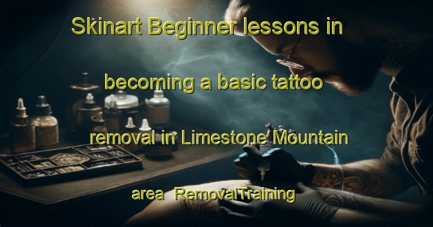Skinart Beginner lessons in becoming a basic tattoo removal in Limestone Mountain area | RemovalTraining | RemovalClasses | SkinartTraining-Canada