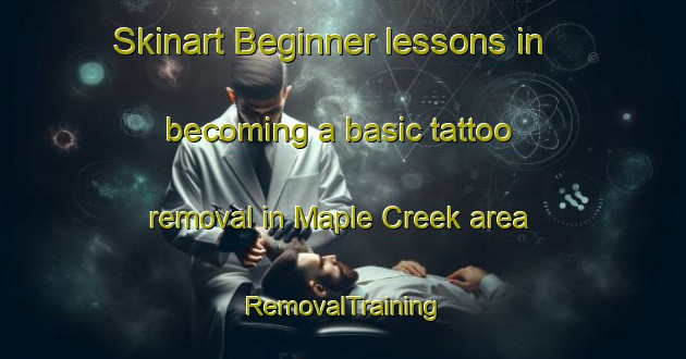 Skinart Beginner lessons in becoming a basic tattoo removal in Maple Creek area | RemovalTraining | RemovalClasses | SkinartTraining-Canada