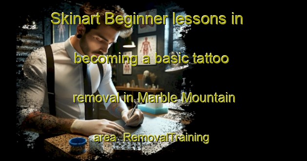 Skinart Beginner lessons in becoming a basic tattoo removal in Marble Mountain area | RemovalTraining | RemovalClasses | SkinartTraining-Canada