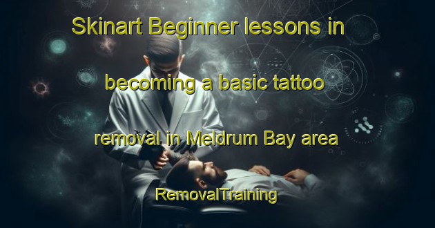Skinart Beginner lessons in becoming a basic tattoo removal in Meldrum Bay area | RemovalTraining | RemovalClasses | SkinartTraining-Canada