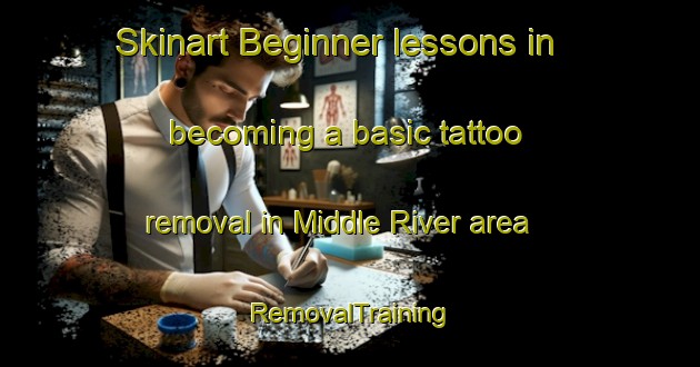 Skinart Beginner lessons in becoming a basic tattoo removal in Middle River area | RemovalTraining | RemovalClasses | SkinartTraining-Canada