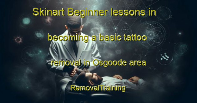 Skinart Beginner lessons in becoming a basic tattoo removal in Osgoode area | RemovalTraining | RemovalClasses | SkinartTraining-Canada