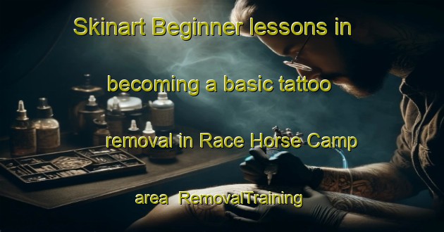 Skinart Beginner lessons in becoming a basic tattoo removal in Race Horse Camp area | RemovalTraining | RemovalClasses | SkinartTraining-Canada