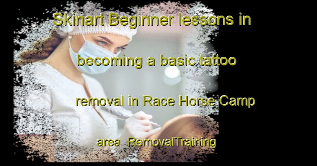 Skinart Beginner lessons in becoming a basic tattoo removal in Race Horse Camp area | RemovalTraining | RemovalClasses | SkinartTraining-Canada