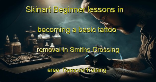 Skinart Beginner lessons in becoming a basic tattoo removal in Smiths Crossing area | RemovalTraining | RemovalClasses | SkinartTraining-Canada