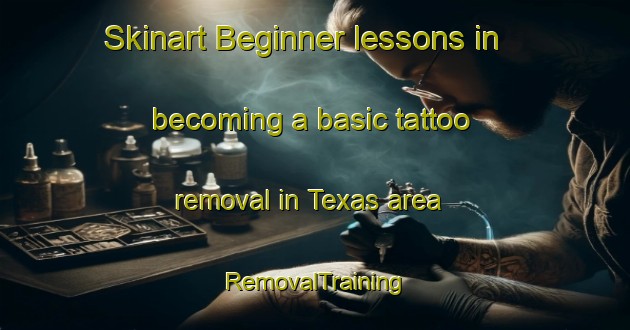 Skinart Beginner lessons in becoming a basic tattoo removal in Texas area | RemovalTraining | RemovalClasses | SkinartTraining-Canada