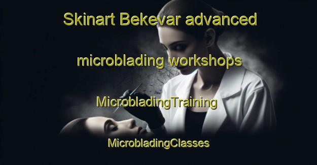 Skinart Bekevar advanced microblading workshops | #MicrobladingTraining #MicrobladingClasses #SkinartTraining-Canada