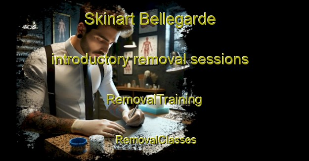 Skinart Bellegarde introductory removal sessions | RemovalTraining | RemovalClasses | SkinartTraining-Canada